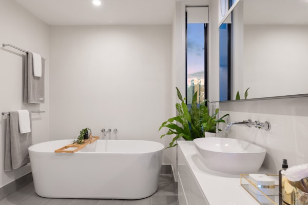 Eco-Friendly Diatomite Collection